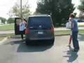 Basset Hound video