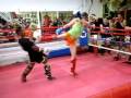 Saenchai Sparring Aussies