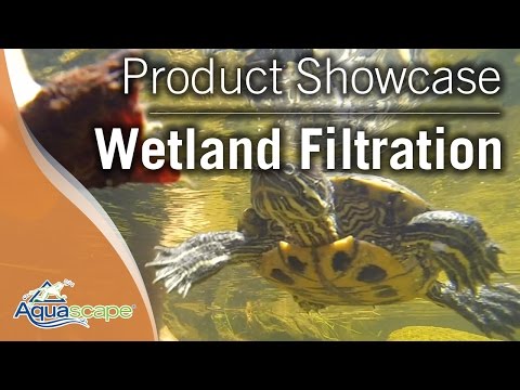 how to eliminate turtles from a pond