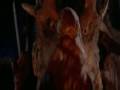 Corazon De Dragon-My Immortality