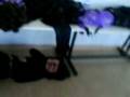 videos de MOV01500