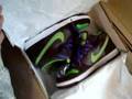 My Nike SB Dunks Collection