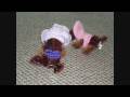 Brown Dog Stop Motion