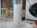 Hydroxy Ver 2.1 DNA Double Helix