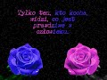 amadeo-?wiat ci podaruje amadeo-?wiat ci podaruje