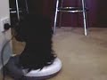 monkey robot roomba vacuum cool chimp weird