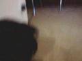 Monkey on the Move