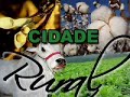 cidade rural 100% boa vista