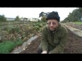 Cleanstream Waiheke Island make their own mulch