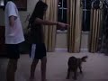 The NAMA Show - Fooling Roxy