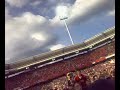 Relegation 1. FC Nürnberg — FC Energie Cottbus (alle Blumen blühen....)