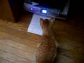 Printing.mov