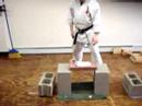 shihan monte breaking a brick