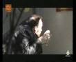 Se lo que hicisteis:Reportaje Carmen Hornillos