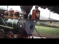 Sugar Cane Train