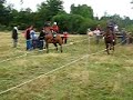 carrera en hornopiren