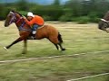 carrera en hornopiren