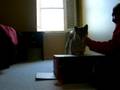 Joey's 101 things to do with a box---part 2