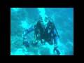 Malapascua and Bohol Diving: Film By Yulya