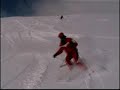 Les monos en folie