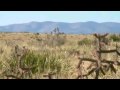 North American Hunter - Desert Mule Deer Part 1  - Santa Fe Guding Company  - Bob King