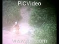 Trilha no Reflorestamento (Gabriel J. Leite)