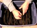 Knife-Storage-by-Nut