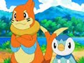 A tribute to piplup
