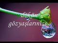 beykoz alperen ocaklar? amin beykoz alperen ocaklar? amin