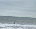 Session kite au Cat\