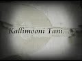 Oud: Om Kalthoum Song (1/3), OudProff?? ?????: ??????