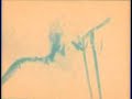 Animal Collective - Grass Animal Collective - Grass
