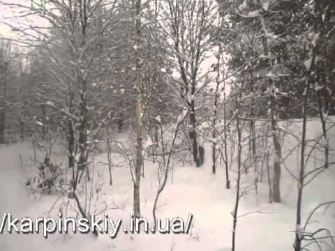 Скачать фото зимней природы