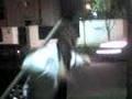 Assistir ao v�deo