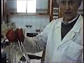 University of Genova: 6� Laboratory, 1995.