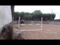 Best pony ever :)