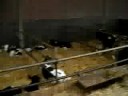 Op de boerderie! 2