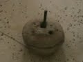 ???? ????? ????? ????? 08 igli bechar p 08 ???? ????? ????? ????? 08 igli bechar p 08