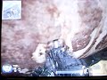 MW2 Rust glitch