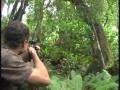 Stag Hunting