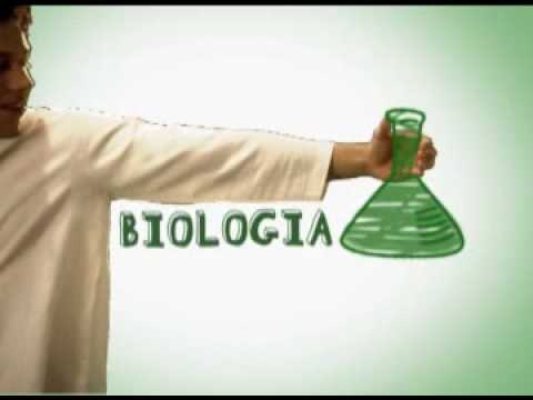 CES Vestibular 2009