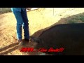 The Lone Star Creek Ranch: Porky, Pet Wild Hog