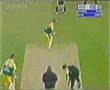 Cricket Wickets!