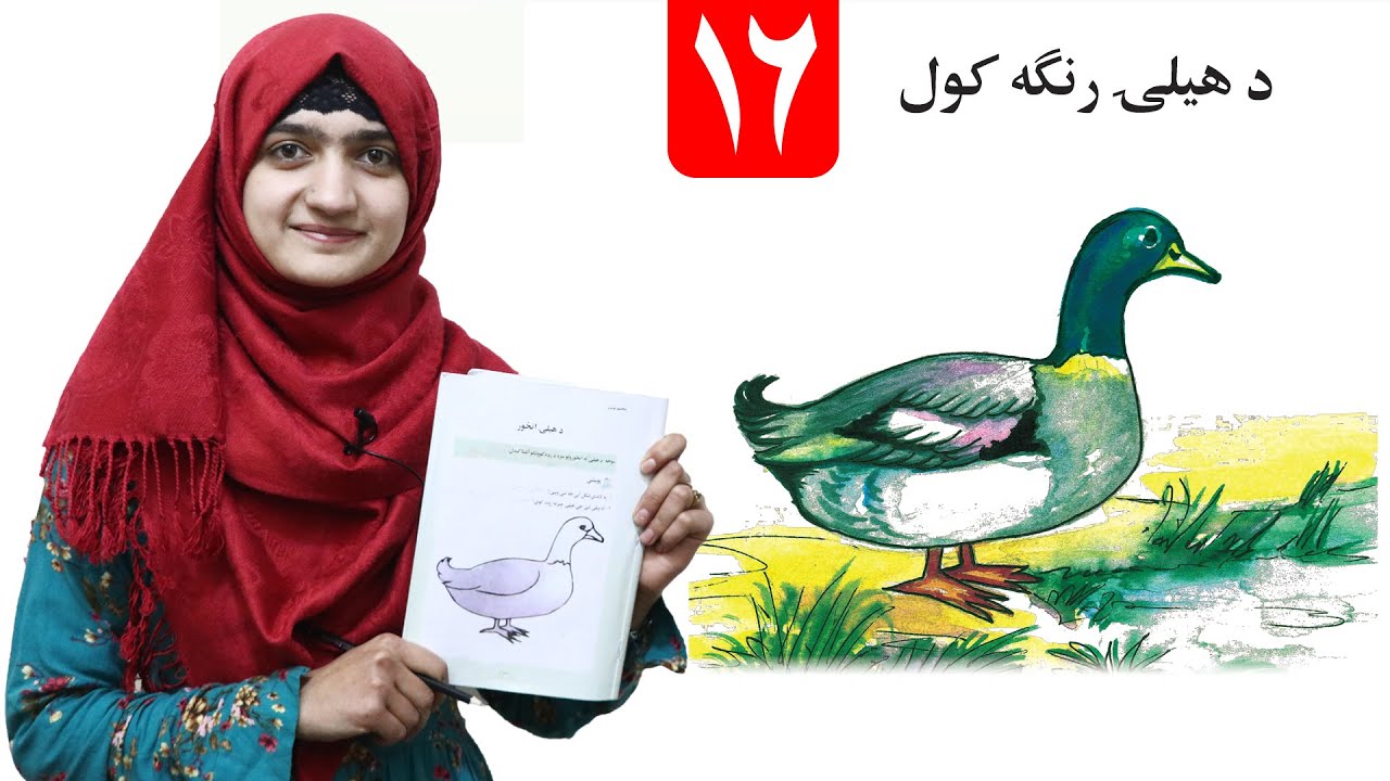 Duck Coloring - lesson 16 _ Arts Grade 1/ د هیلۍ رنگول - لومړی ټولګی- د رسم مضمون