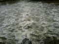 Sungei Buloh Sungei Buloh