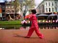 Tai Chi Kung Fu Fan (52 moves)