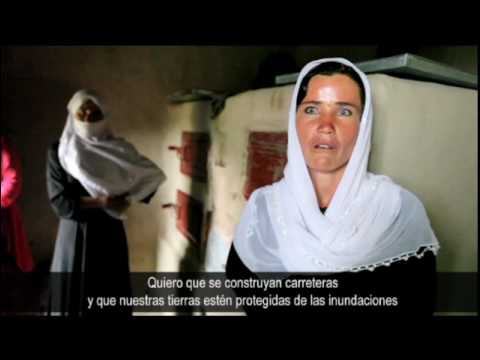 See video See video