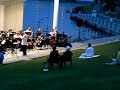 Festival Orchestra