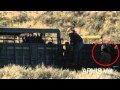 Wild Burros Hotshotted at Calico Complex Roundup - Dec. 2011