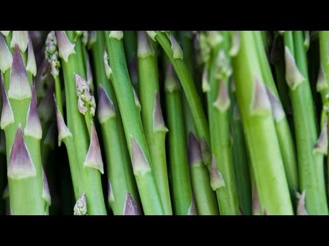 how to harvest asparagus video